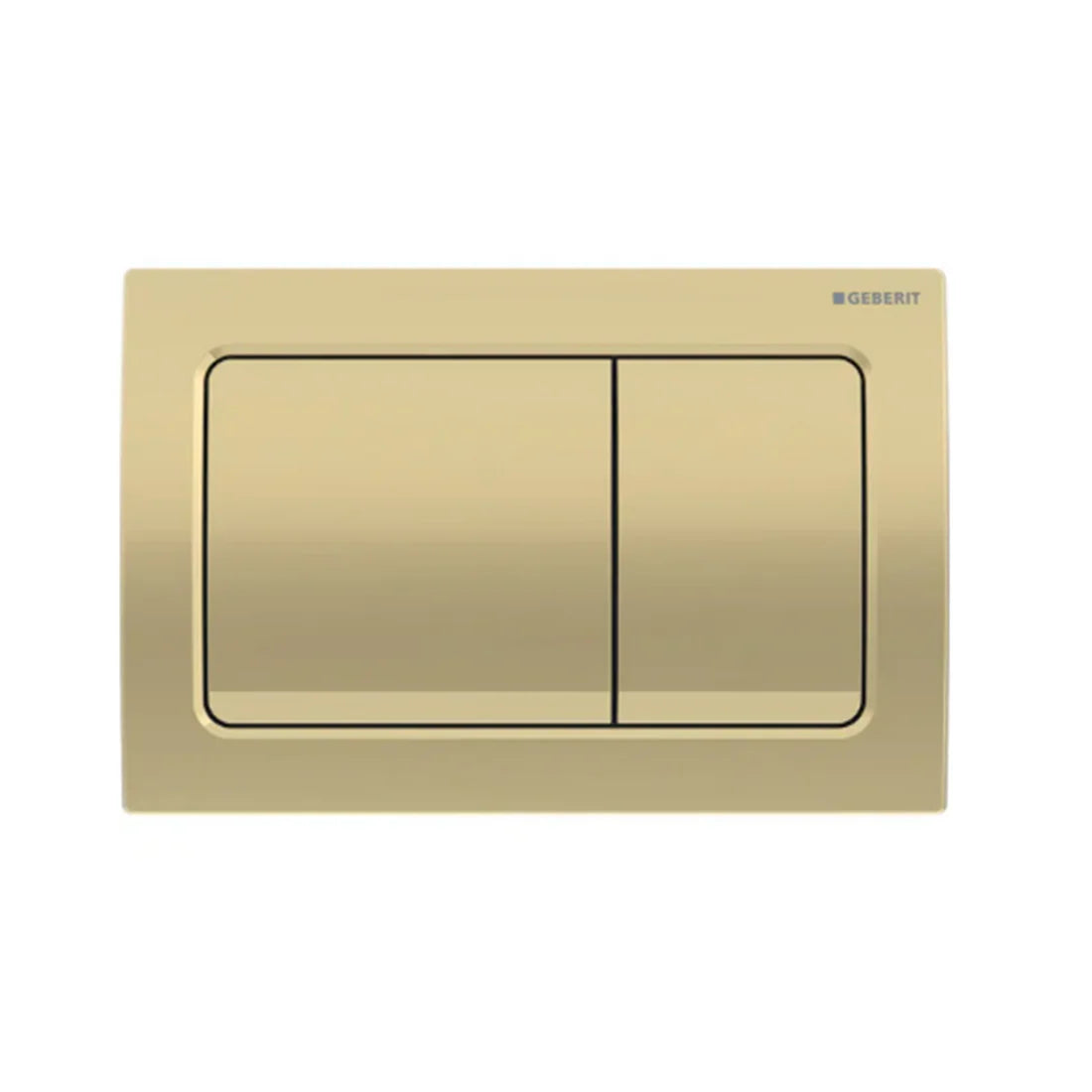 Geberit Toilet Button Plate