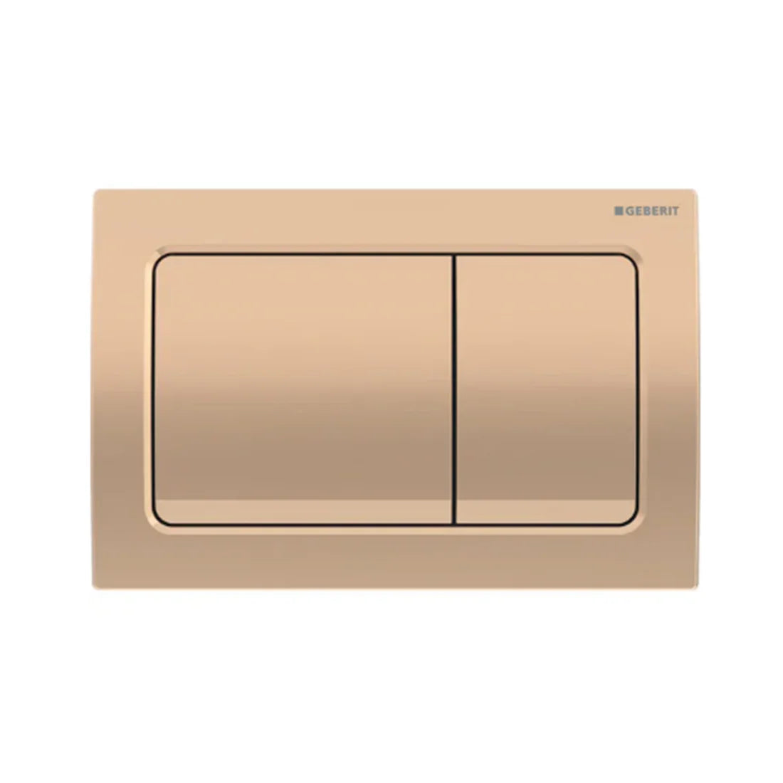 Geberit Toilet Button Plate