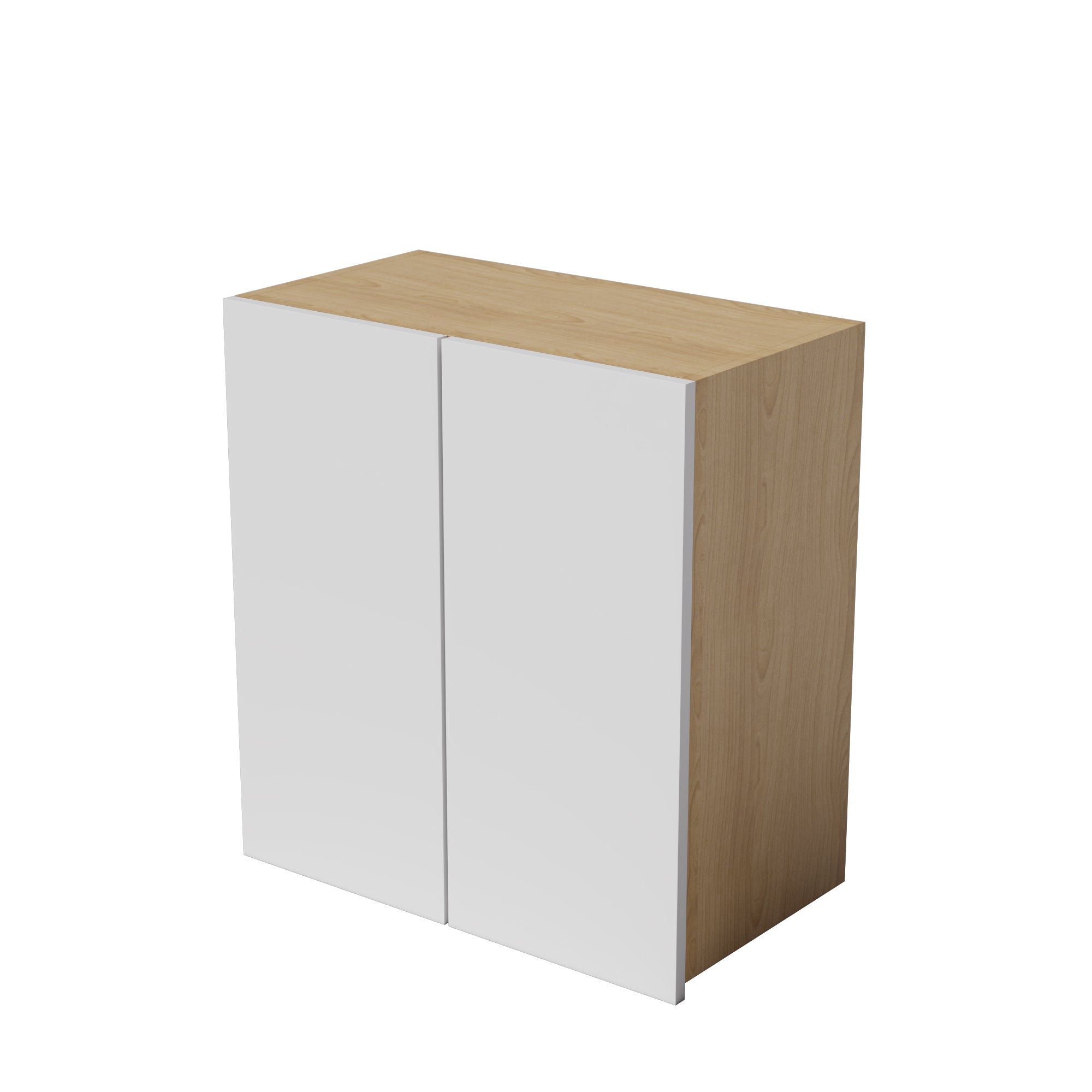 Kitchen Floor Cabinet 2 Doors Kitchen Cupboard 550-1000mm