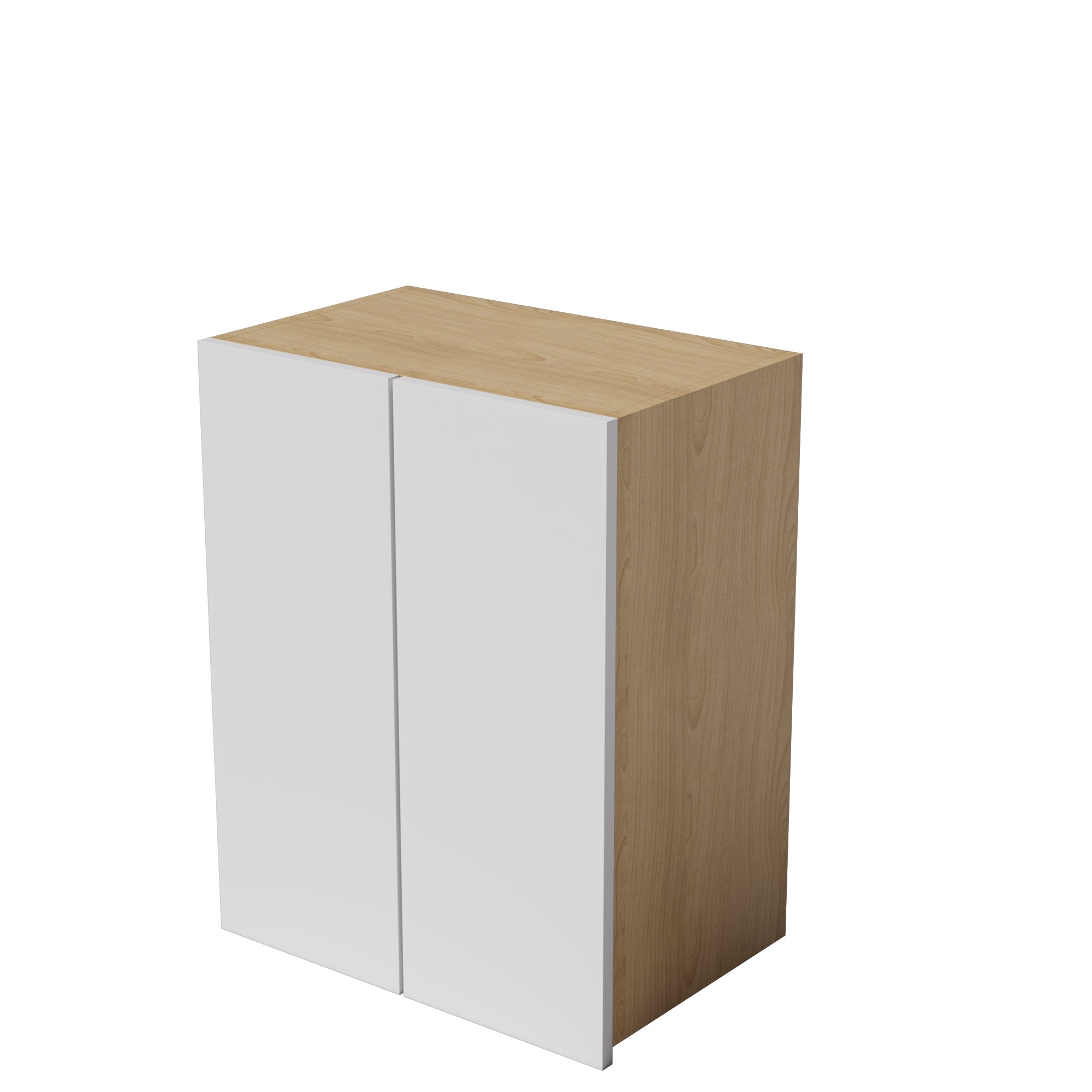 Kitchen Floor Cabinet 2 Doors Kitchen Cupboard 550-1000mm