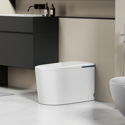 Vezen Smart Toilet 710*390*460mm
