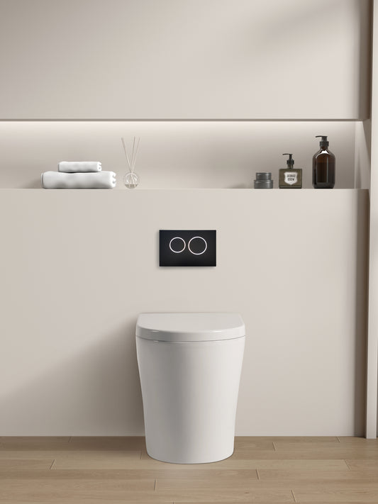 Rimless Wall Hung Pan LUX102R