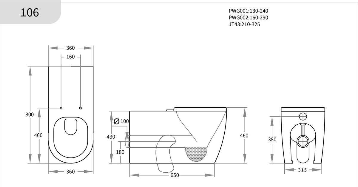 Elara Geberit inwall disable Wall-Faced Toilet suite