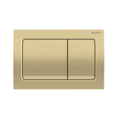 Geberit Toilet Button Plate