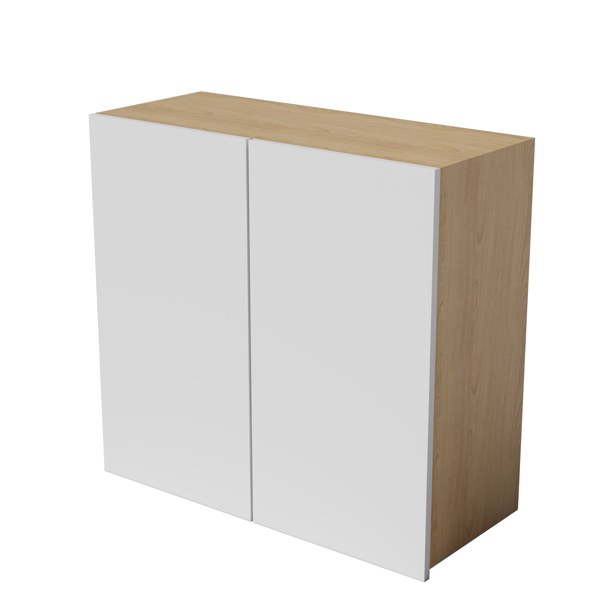 Kitchen Floor Cabinet 2 Doors Kitchen Cupboard 550-1000mm