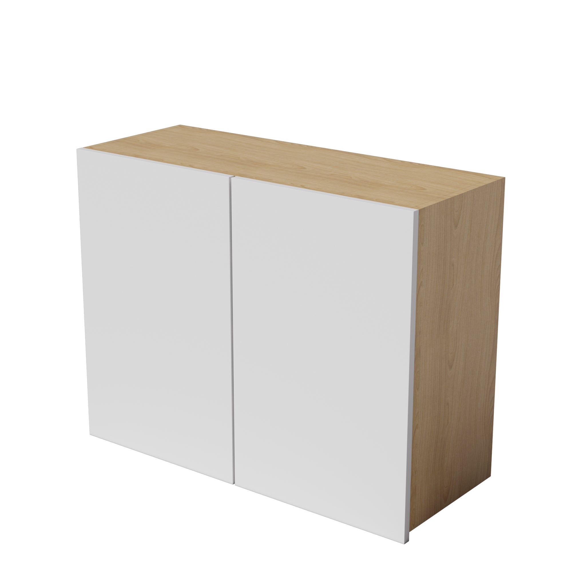 Kitchen Floor Cabinet 2 Doors Kitchen Cupboard 550-1000mm