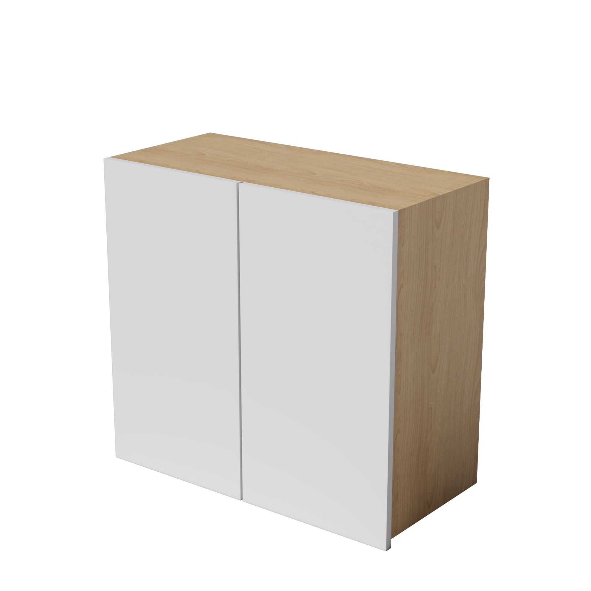 Kitchen Floor Cabinet 2 Doors Kitchen Cupboard 550-1000mm