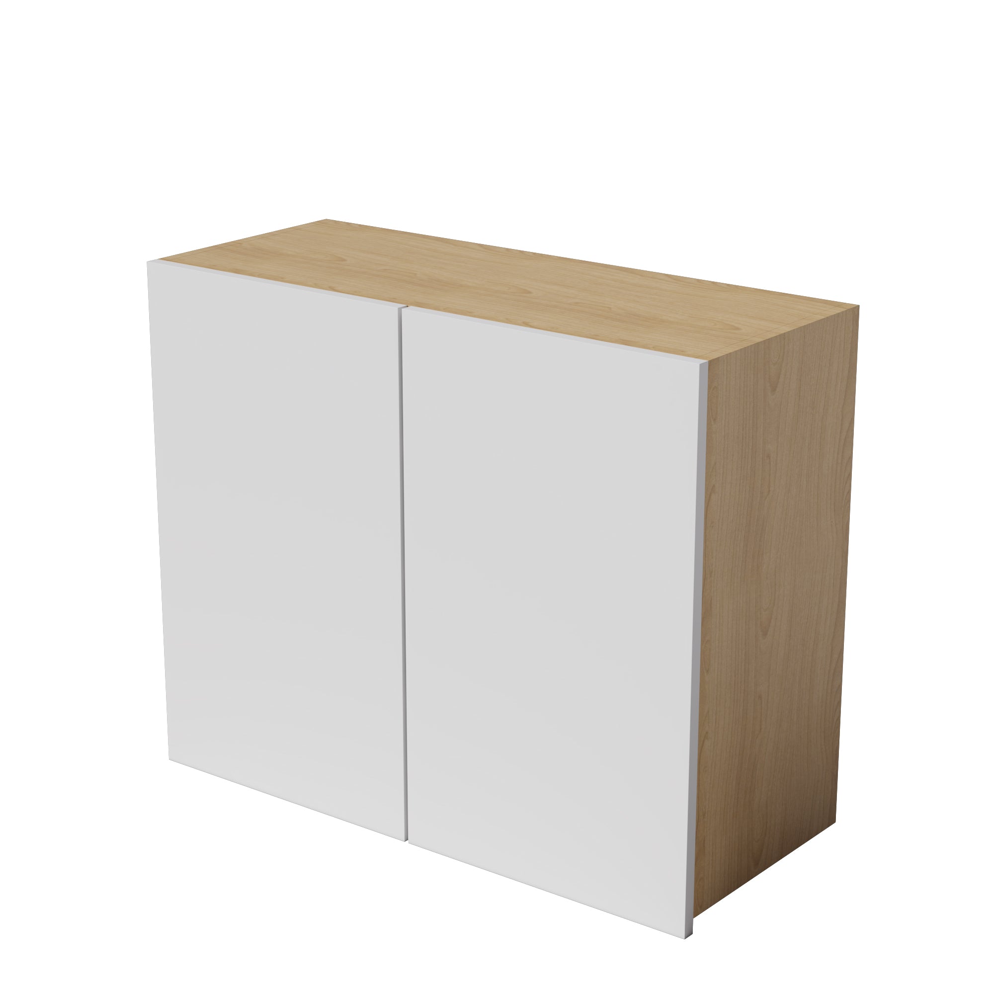 Kitchen Floor Cabinet 2 Doors Kitchen Cupboard 550-1000mm