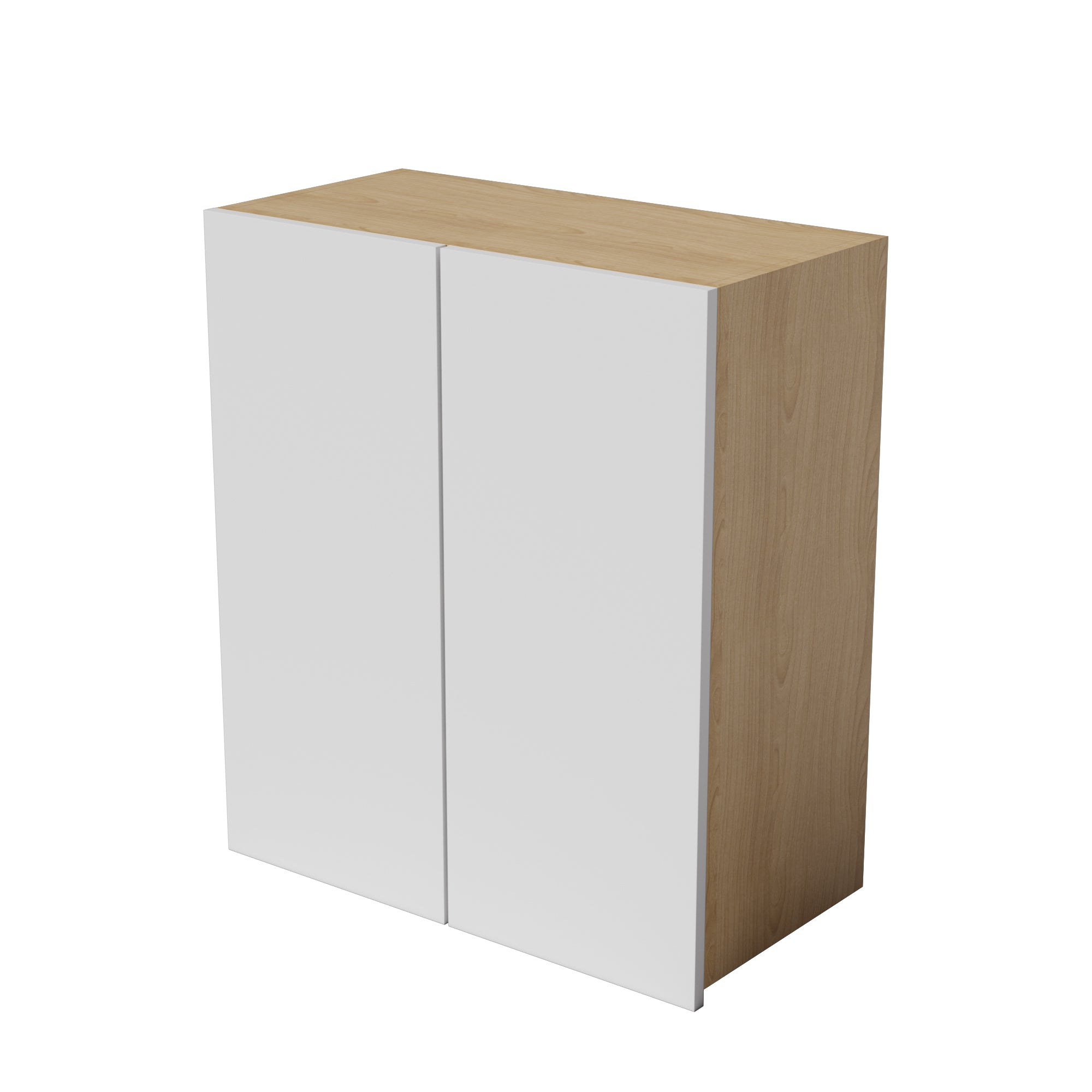 Kitchen Floor Cabinet 2 Doors Kitchen Cupboard 550-1000mm