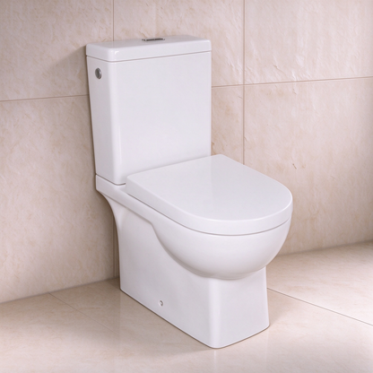 Theo BTW Toilet Suite 660*375*845mm LH-TS05