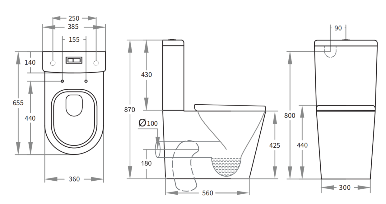 Avis Rimless Toilet Suite 655*385*870mm(Matte White/Matte Black)
