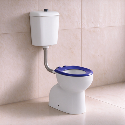 Calla Disable Toilet Suite 805*350*1120mm LH-TS011-B/LH-TS011-G
