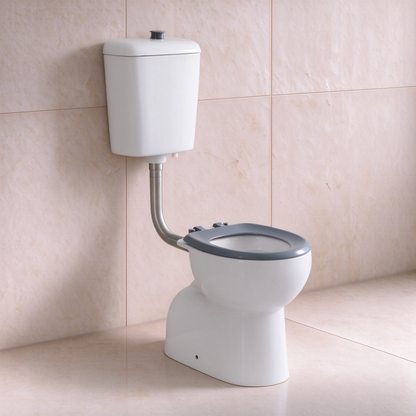 Calla Disable Toilet Suite 805*350*1120mm LH-TS011-B/LH-TS011-G