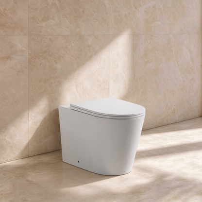 Jill Rimless Vertical Wall Floor Pan 575*360*415mm