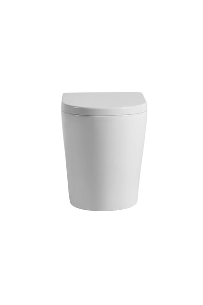 Flux Wall-Faced Toilet with Box Rim Design 595*360*410mm