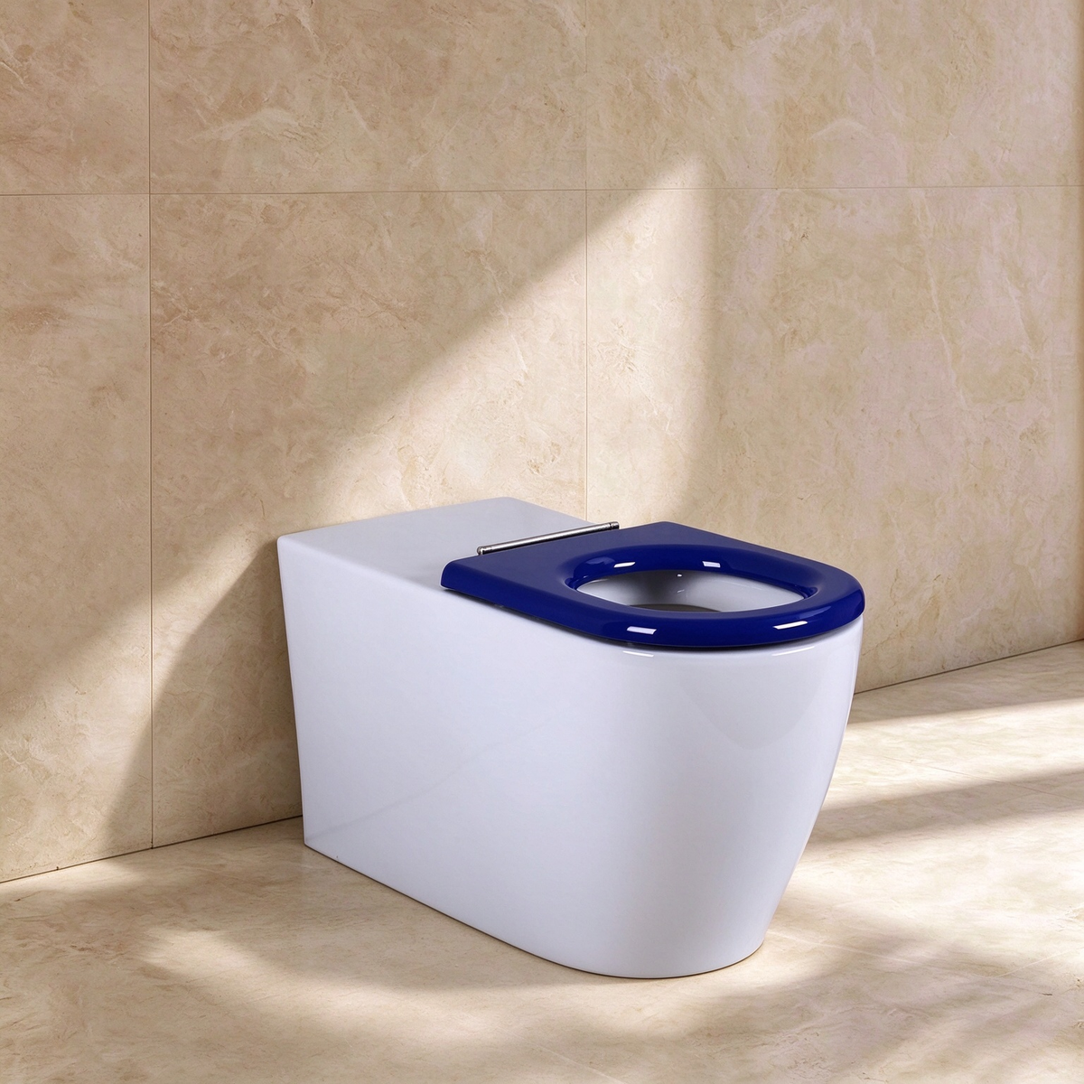 Evida Care Tornado Wall-Mounted Toilet 800*360*430mm
