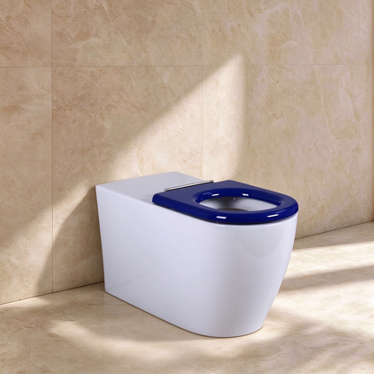 Evida Care Tornado Wall-Mounted Toilet 800*360*430mm