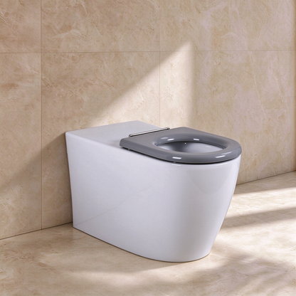 Evida Care Tornado Wall-Mounted Toilet 800*360*430mm