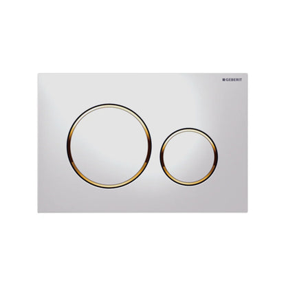 Geberit Toilet Button Chrome Plate