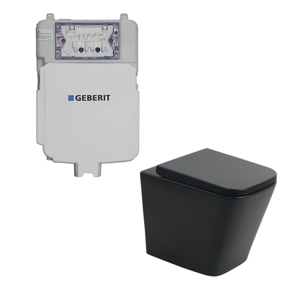 Flux Geberit inwall floor Toilet Suite